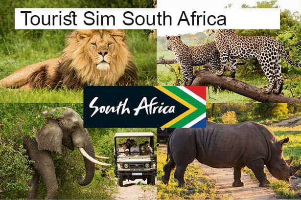 south africa travel sim2go vietnam