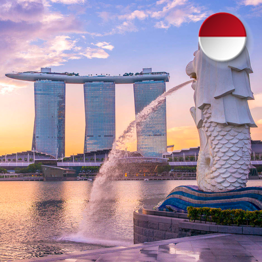 Singapore travel eSIM 2 days 1GB